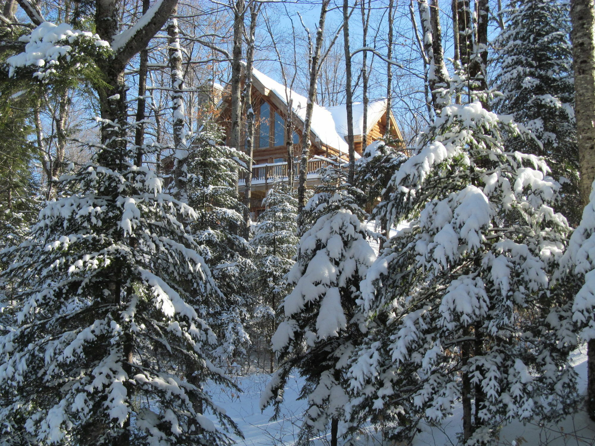 Blueberry Lake Resort Labelle Екстериор снимка